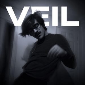 VEIL Album Art