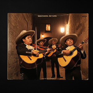 SOUTHERN RETURN (Instrumental) Album Art